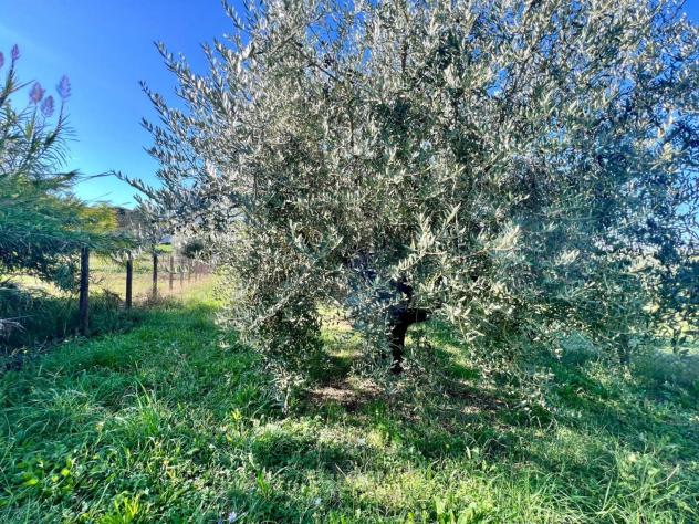 Agricolo in Via Colle Rasto - Foto 4