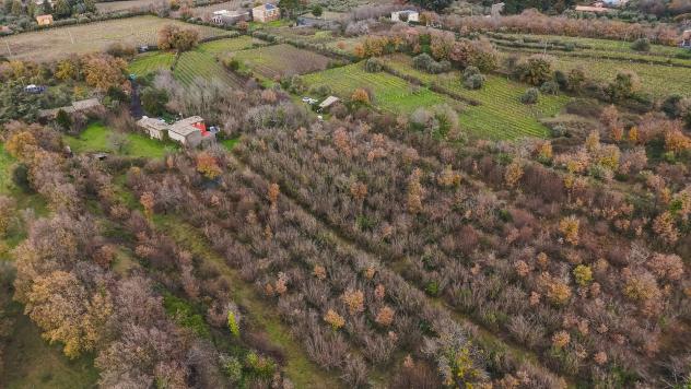 Terreno Edificabile in vendita a Randazzo, Montelaguardia - Foto 10
