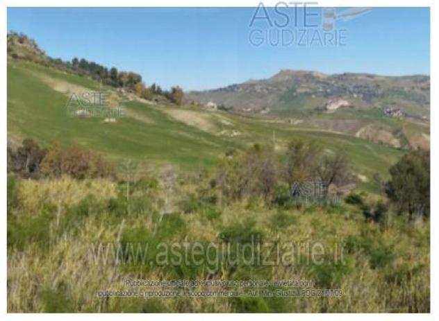 IMMOBILI-IMMOBILE RESIDENZIALE-contrada Perciata Ciccoliporci - Foto 2