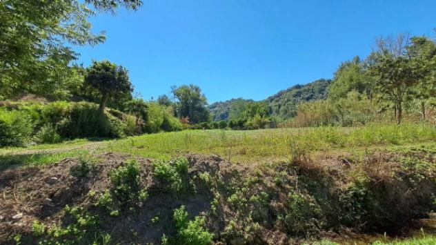 Immobile in asta di 420 m², box auto in vendita a Feroleto della Chiesa - Foto 8
