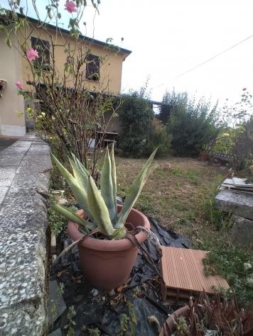 Terratetto in vendita a Casano - Luni 110 mq Rif: 1251524 - Foto 2