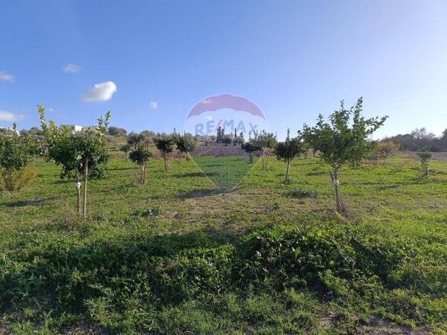 Villa o villino in vendita a Pachino - Foto 9
