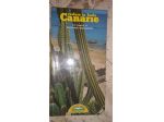 Vedere le Isole Canarie Vintage