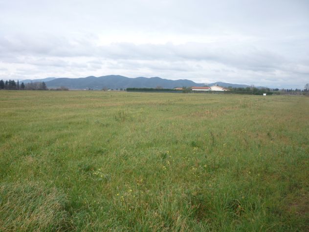 Terreno agricolo alla Rugginosina - GROSSETO- - Foto 4