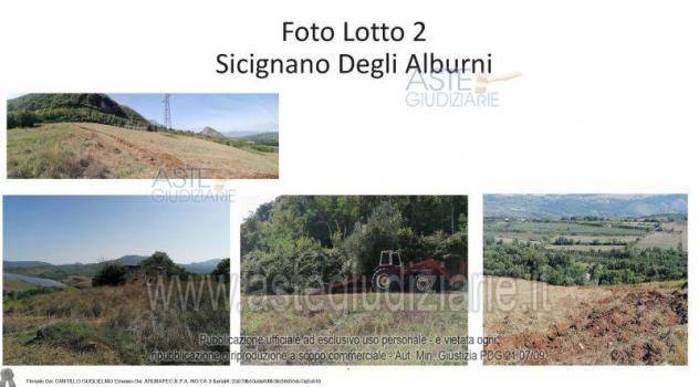 IMMOBILI-ALTRA CATEGORIA-località Tempona Tauriello - Foto 4