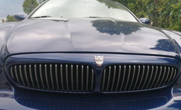 Jaguar X-Type 3.0 V6 24V Sport 2002 - Foto 8