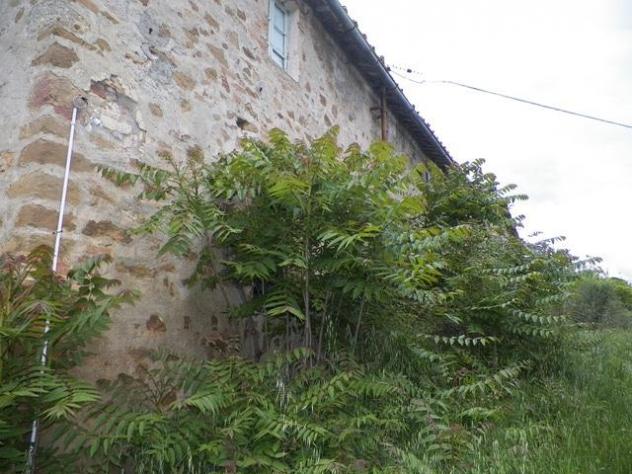 Casale in vendita a Siena 600 mq Rif: 1323632 - Foto 5