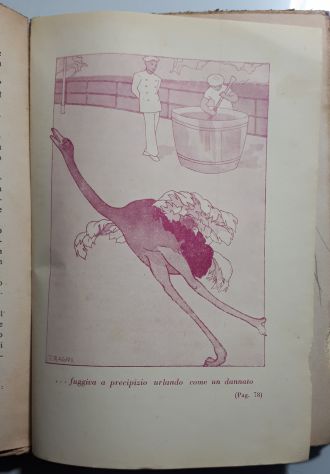 BACICCIN STORIA DI UN PICCOLO MOZZO D'ALTRI TEMPI, RODOLFO BRANDAGLIA 1938. - Foto 4