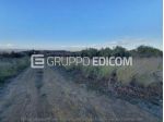 Terreno in vendita a Carlentini - Rif. 4547400