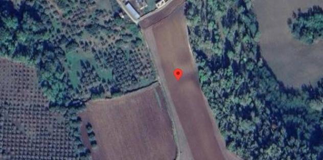 Immobile in asta di 88880 m² in vendita a Gerocarne - Foto 7