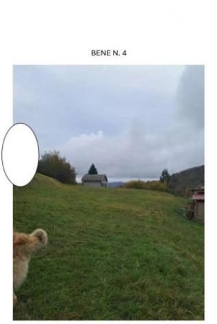 Immobile in asta di 2257 m² in vendita a Torriglia - Foto 2
