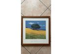 QUADRO GIO' MONDELLI
