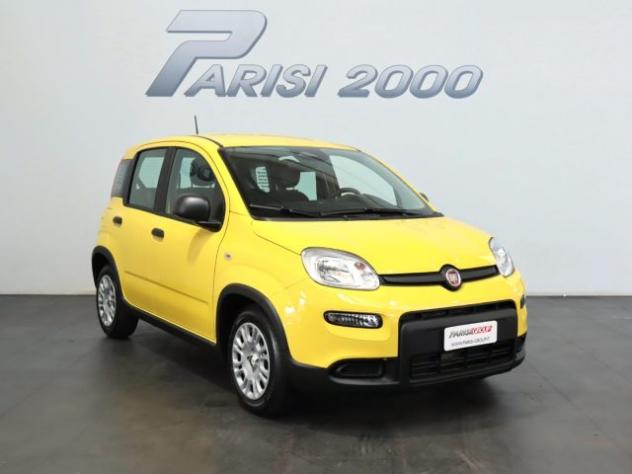 FIAT Panda 1.0 FireFly S&S Hybrid new version 2024 rif. 19560691 - Foto 2