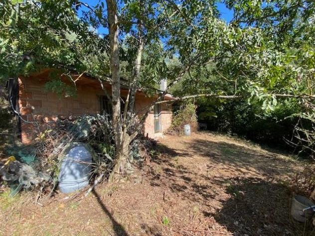 Annesso agricolo in vendita a Vangile - Massa e Cozzile 4798 mq Rif: 1360616