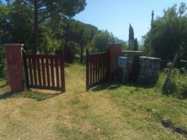 Immobile in asta di 435 m² in vendita a Scansano