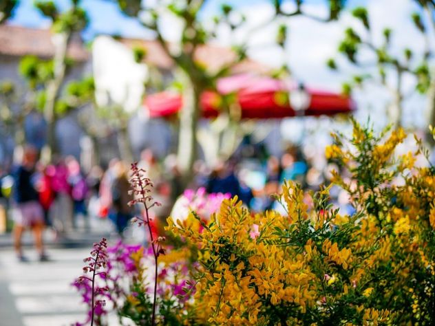 Mi propongo come fotografo per villaggi turistici