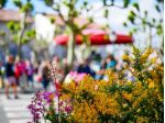 Mi propongo come fotografo per villaggi turistici