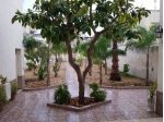 Singole/Doppia a pochi passi da Ateneo, Facoltà di Lingue, Studium 2000