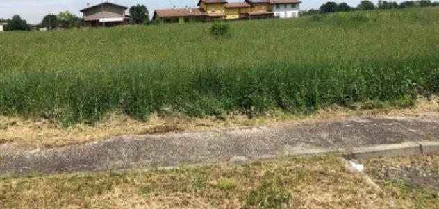 Immobile in asta di 4035 m² in vendita a Fombio - Foto 6