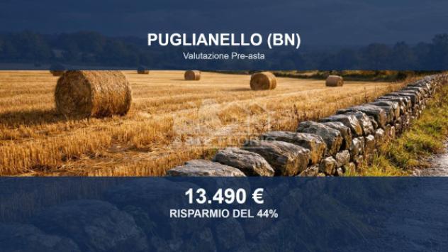 Immobile in asta di 2998 m² in vendita a Puglianello