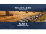 Immobile in asta di 2998 m² in vendita a Puglianello
