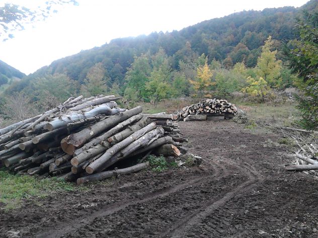 100 ettari bosco Ex malga - Foto 5