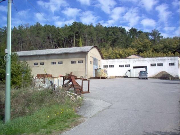 Capann mont 320 - Capannone a Montecarlo - Foto 3
