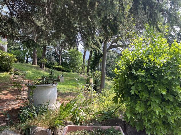 Villa unifamiliare a Cinto Euganeo - Foto 7
