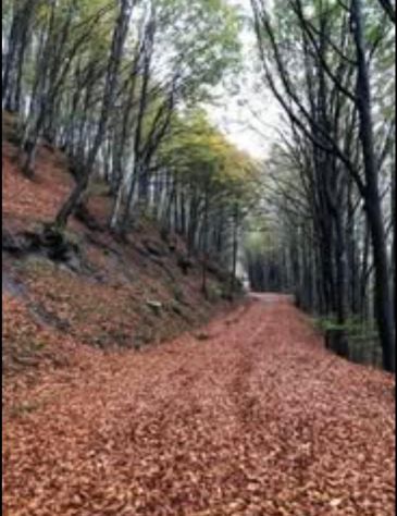 casa vacanze appennino Mugello - Foto 7