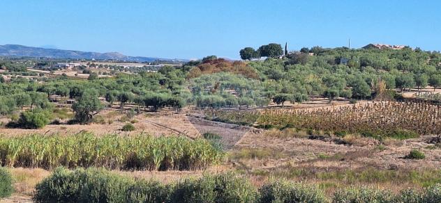 Terreno in vendita a Noto - Foto 9