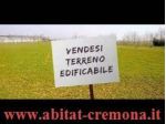 Persichello