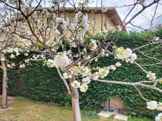 Villa bifamiliare - Foto 4