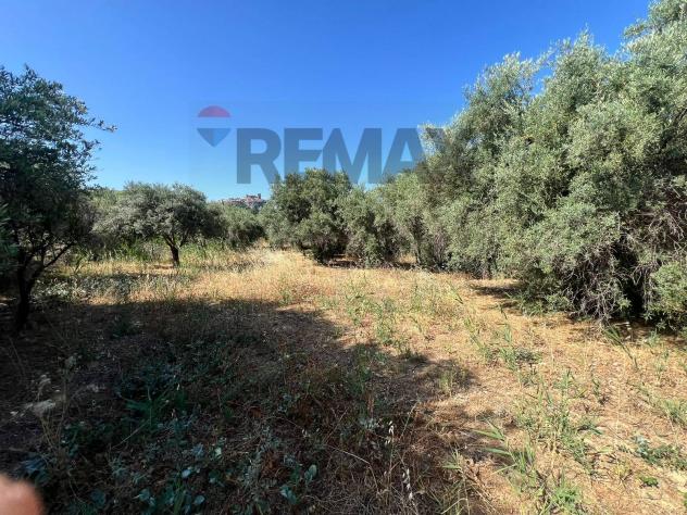 Terreno in vendita a Motta Sant'Anastasia - Foto 6