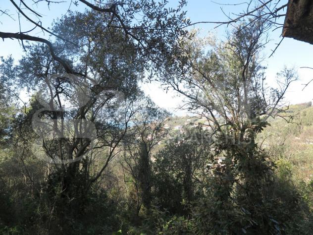 Rustico/Casale/Corte - Lerici . Rif.: 629VRG - Foto 3