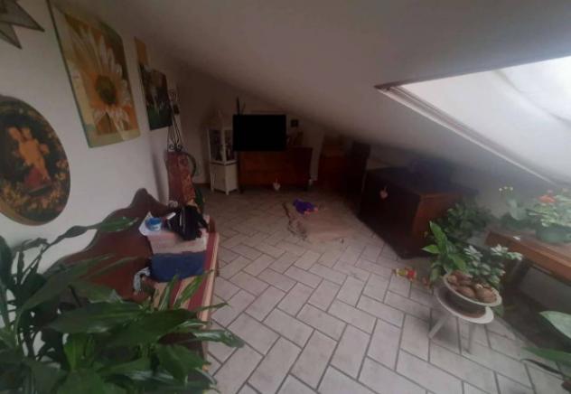 Immobile in asta di 394 m² con più di 5 locali e box auto in vendita a Urbino - Foto 4