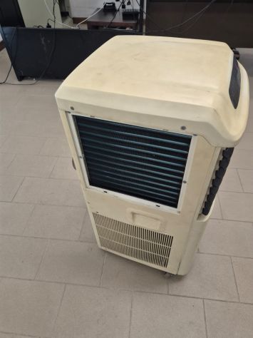 CLIMATIZZATORE CARRELLATO SAID USATO - Foto 6