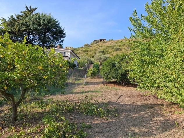 Agricolo in Via Alberto Moravia - Foto 8