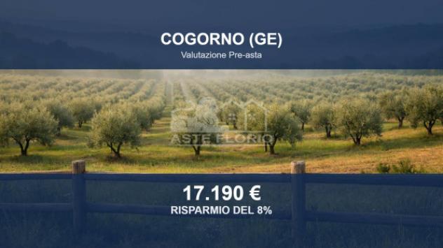 Immobile in asta di 665 m² in vendita a Cogorno