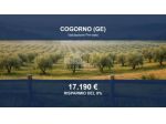 Immobile in asta di 665 m² in vendita a Cogorno