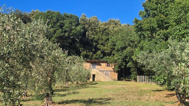 Rustico in vendita a Lugnano in Teverina - Foto 20