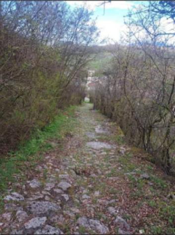 Immobile in asta di 8923 m² in vendita a Rovereto - Foto 4