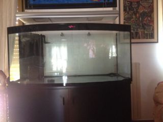 Acquario marino tropicale professionale