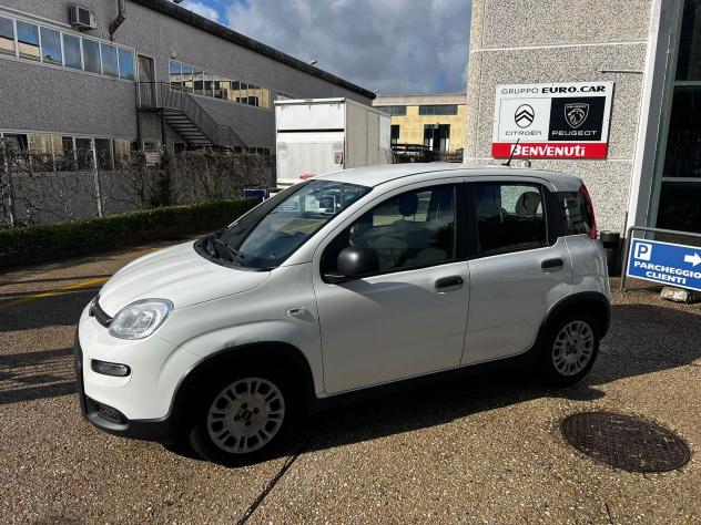 FIAT Panda Panda 1.0 firefly hybrid s&s 70cv 5p.ti - Foto 3