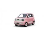 DESNER Y300 DESNER Y300 FAMILY 4 PORTE 170 KM DI AUTONOMIA rif. 24182652
