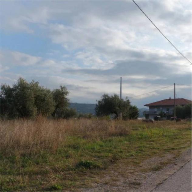 Immobile in asta di 1135 m² in vendita a Collecorvino - Foto 6
