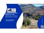 Immobile in asta di 1204078 m² in vendita a Geraci Siculo
