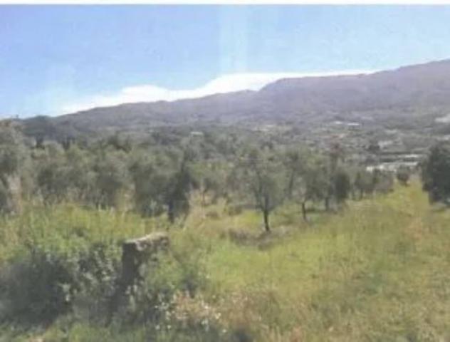 Immobile in asta di 9061 m² in vendita a Vaiano - Foto 2
