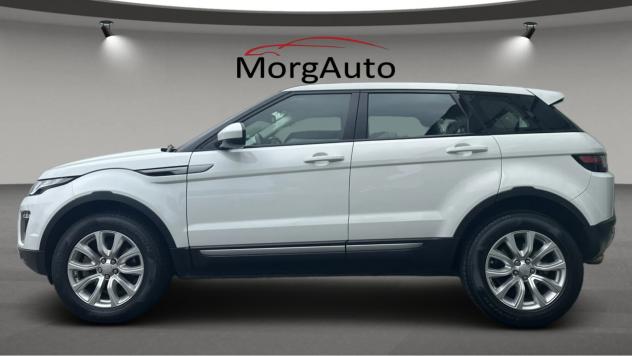 Range Rover Evoque 2.0 TD4 180CV Automatica, Pelle - Foto 2