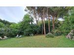 Casale in vendita a Calci 420 mq  Rif: 1332455