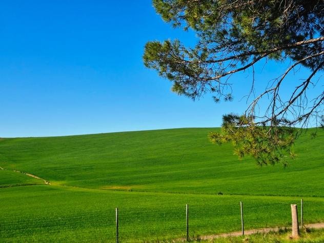 Casa semindipendente in vendita a Monteroni d'Arbia 180 mq Rif: 1404792 - Foto 3